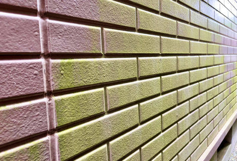 苔、藻、カビの発生